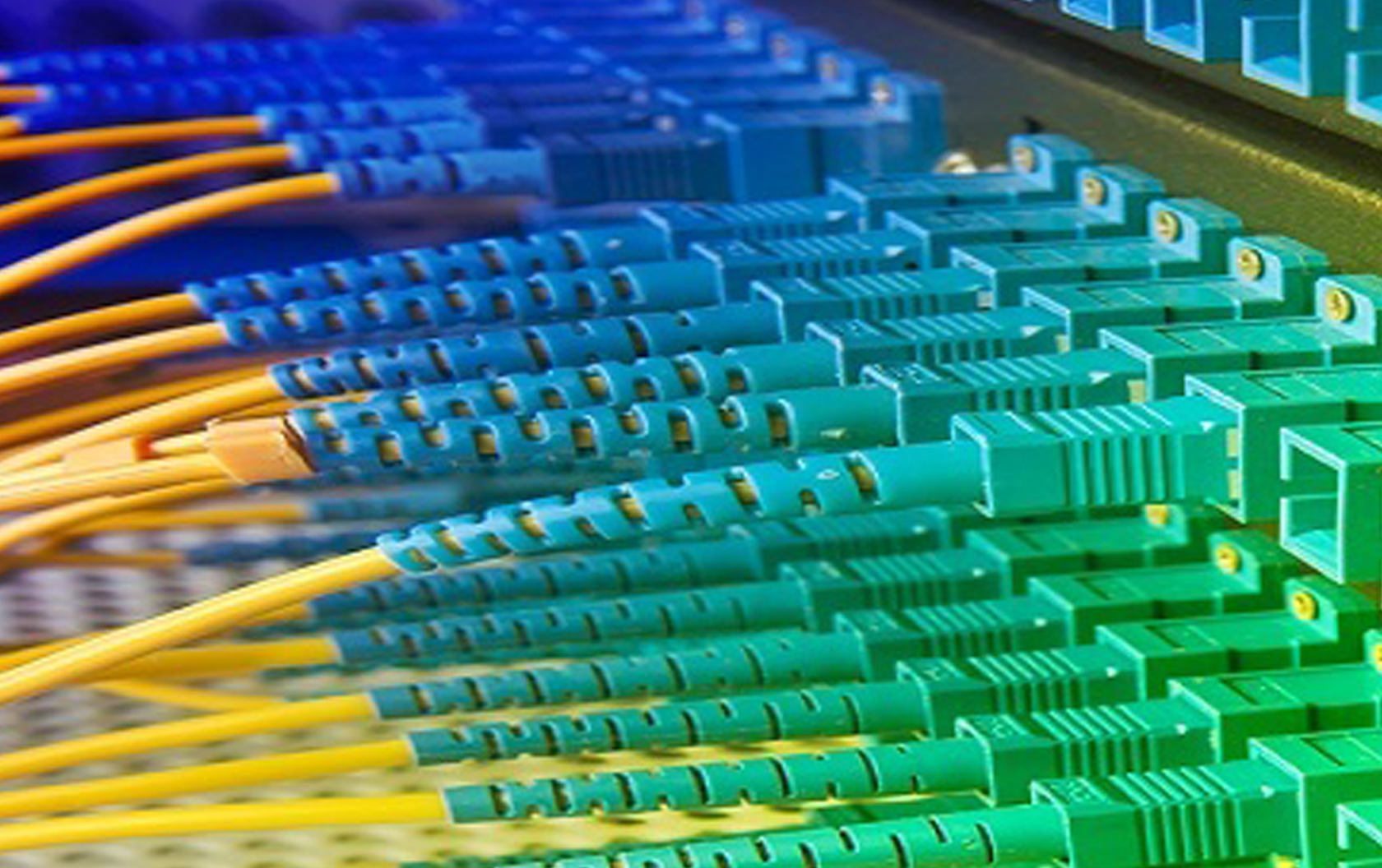 Fiber.jpg